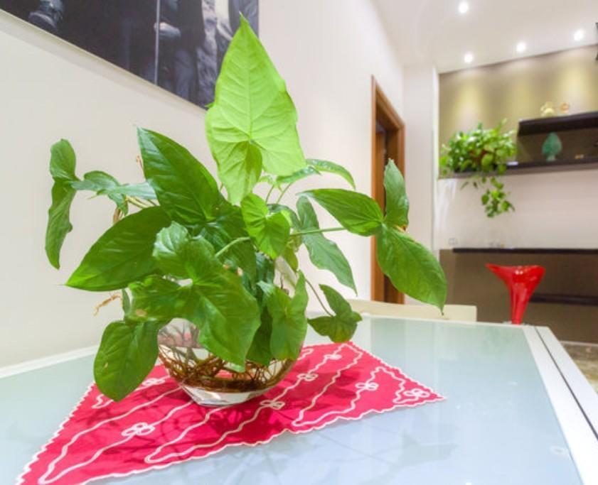 Porta Nuova Bed & Breakfast มาร์ซาลา ภายนอก รูปภาพ